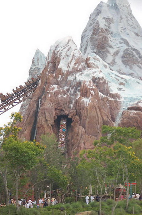 Expedition Everest photo from Disney's Animal Kingdom