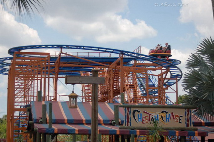 Sand Serpent photo from Busch Gardens Tampa