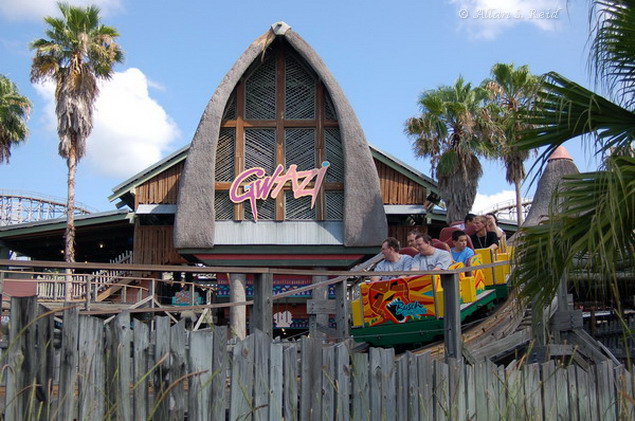 Gwazi (Lion) photo from Busch Gardens Tampa
