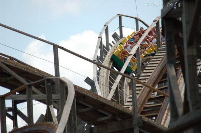 Gwazi (Lion) photo from Busch Gardens Tampa