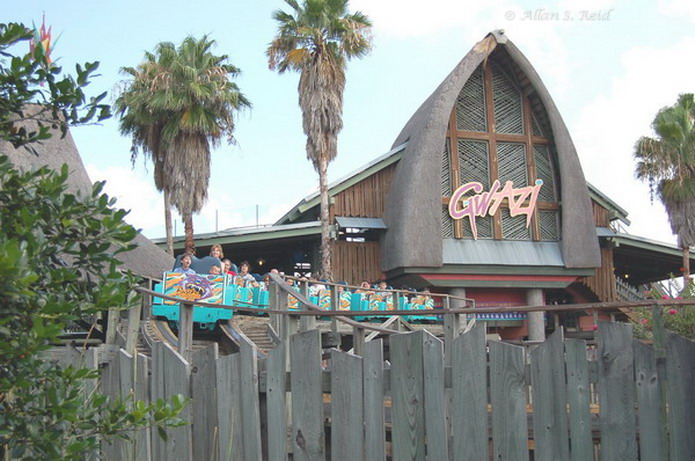 Gwazi (Tiger) photo from Busch Gardens Tampa