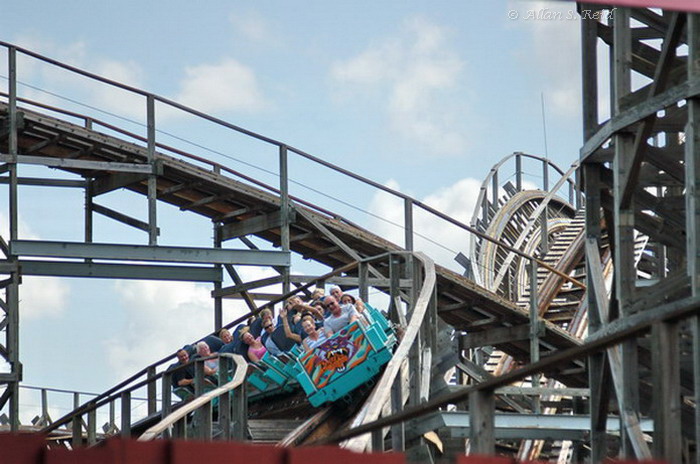 Gwazi (Tiger) photo from Busch Gardens Tampa