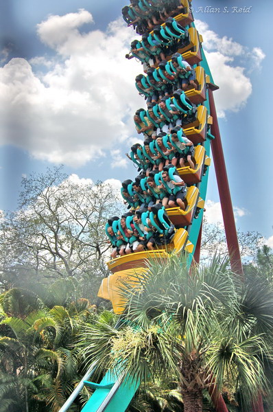 Kumba photo from Busch Gardens Tampa