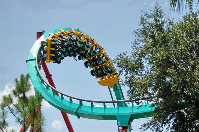 Kumba photo from Busch Gardens Tampa