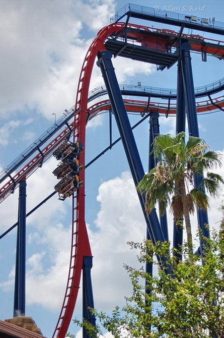 SheiKra photo from Busch Gardens Tampa