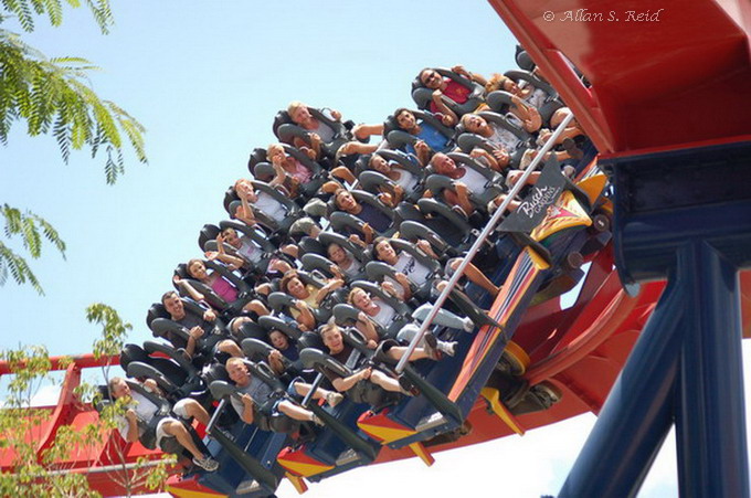 SheiKra photo from Busch Gardens Tampa