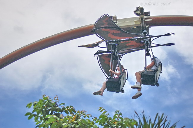 Pteranadon Flyers photo from Islands of Adventure