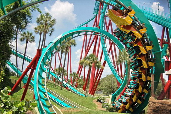 Kumba photo from Busch Gardens Tampa