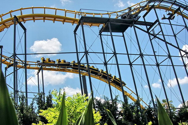 Python photo from Busch Gardens Tampa