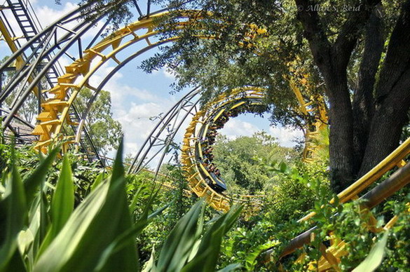 Python photo from Busch Gardens Tampa