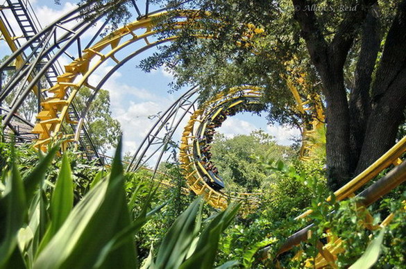 Python Photo From Busch Gardens Tampa Coasterbuzz