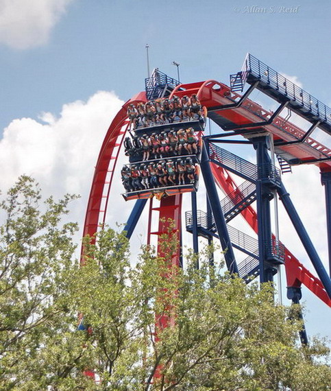 SheiKra photo from Busch Gardens Tampa