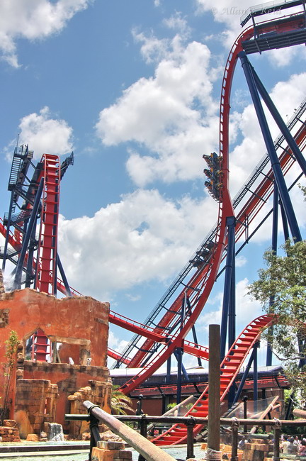 SheiKra photo from Busch Gardens Tampa