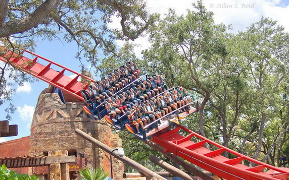 SheiKra photo from Busch Gardens Tampa