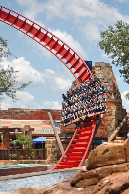 SheiKra photo from Busch Gardens Tampa