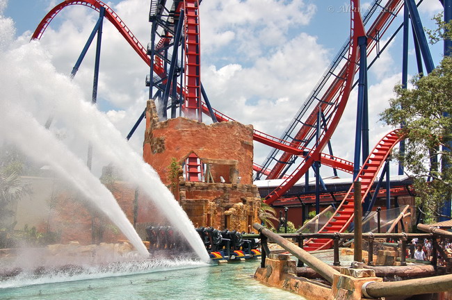 SheiKra photo from Busch Gardens Tampa