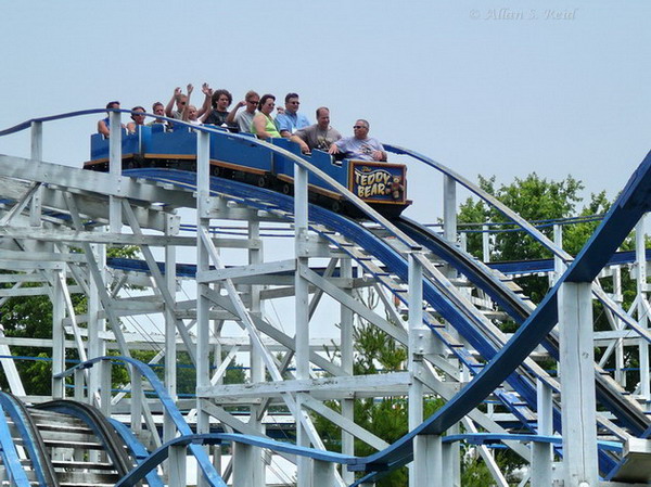 Teddy Bear photo from Stricker's Grove