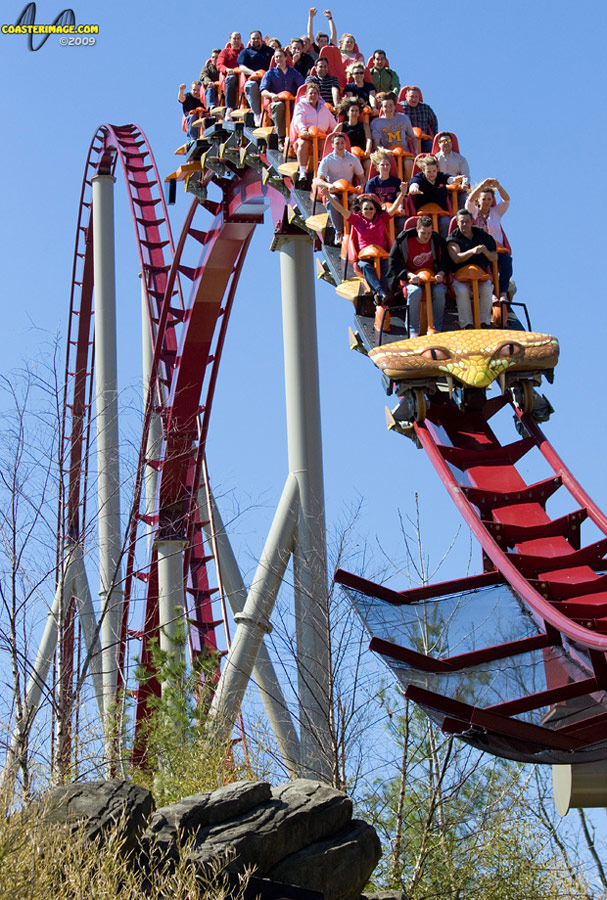 Diamondback Roller Coaster Seats