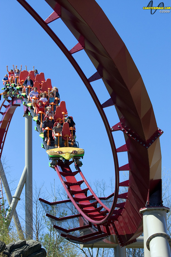 Diamondback photo from Kings Island