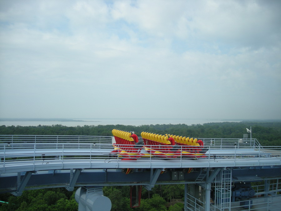 Griffon photo from Busch Gardens Williamsburg