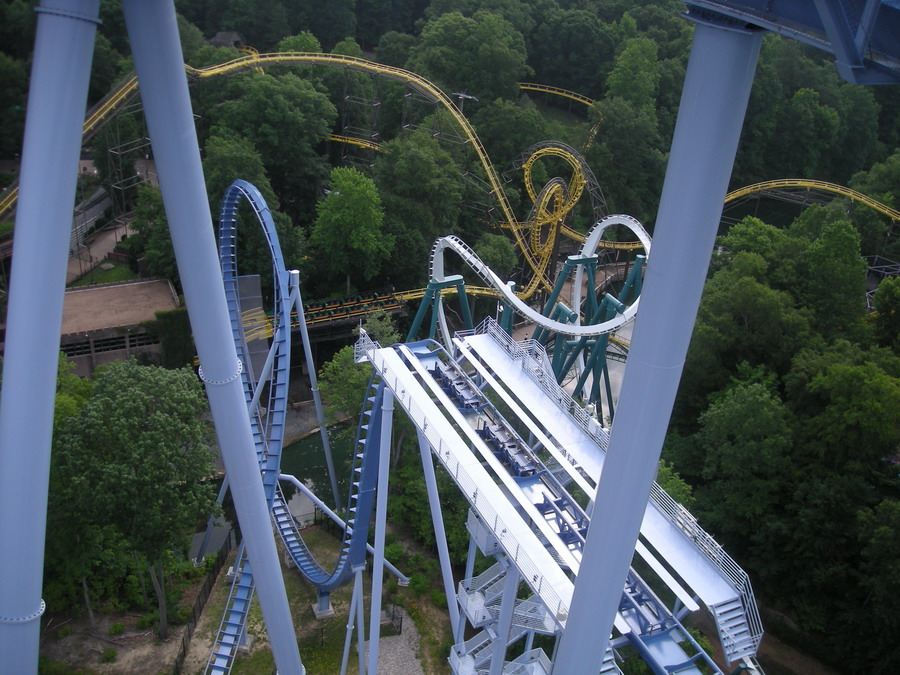 Griffon photo from Busch Gardens Williamsburg