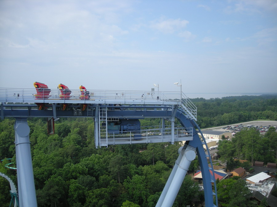 Griffon photo from Busch Gardens Williamsburg