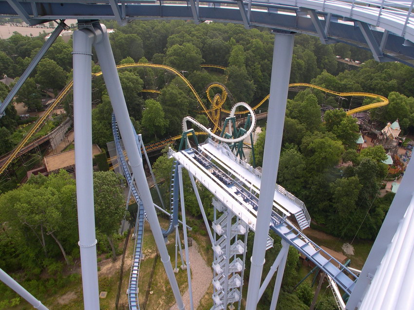 Griffon photo from Busch Gardens Williamsburg