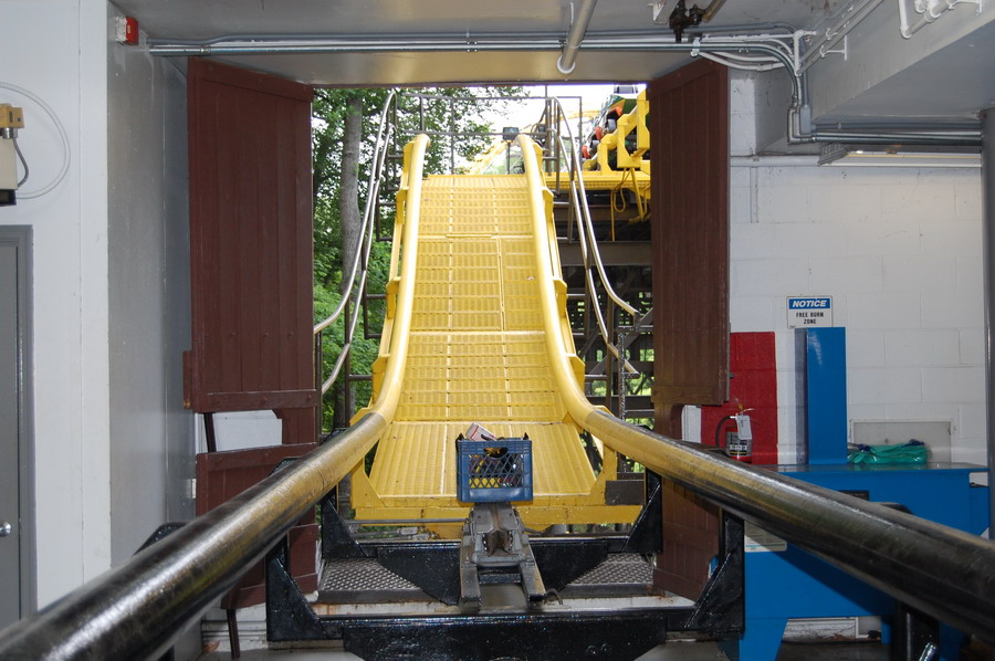 Loch Ness Monster, The photo from Busch Gardens Williamsburg