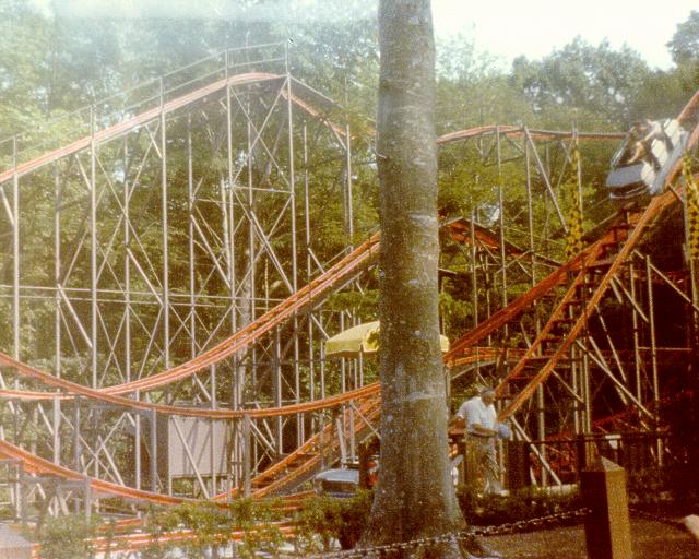 Die Wildkatze photo from Busch Gardens Williamsburg