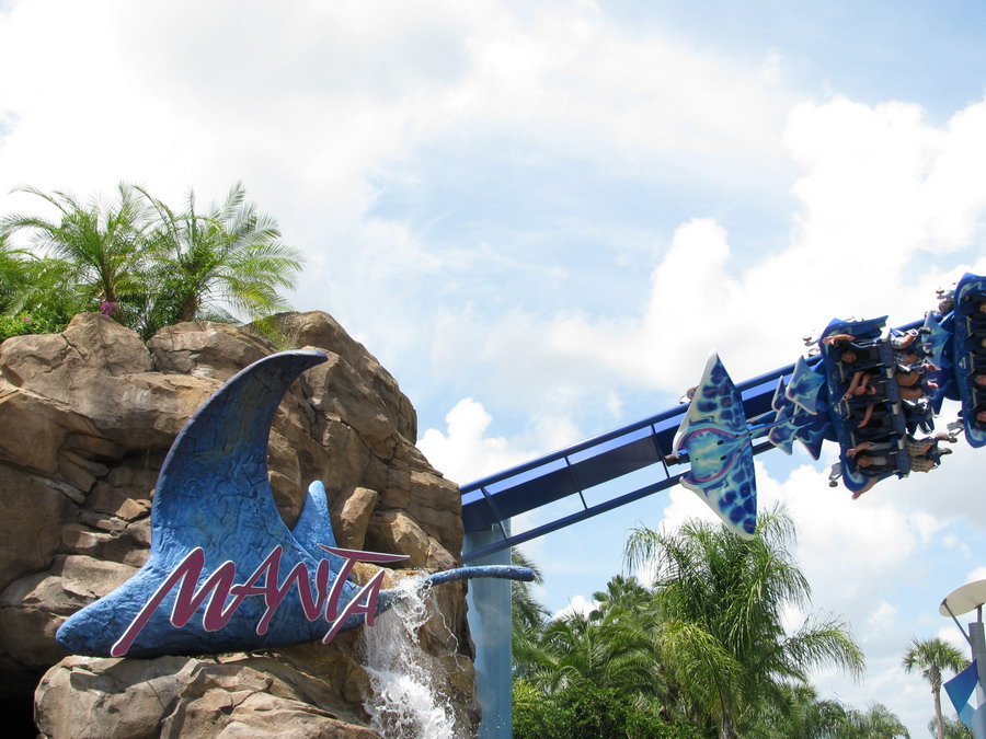 Manta photo from SeaWorld Orlando