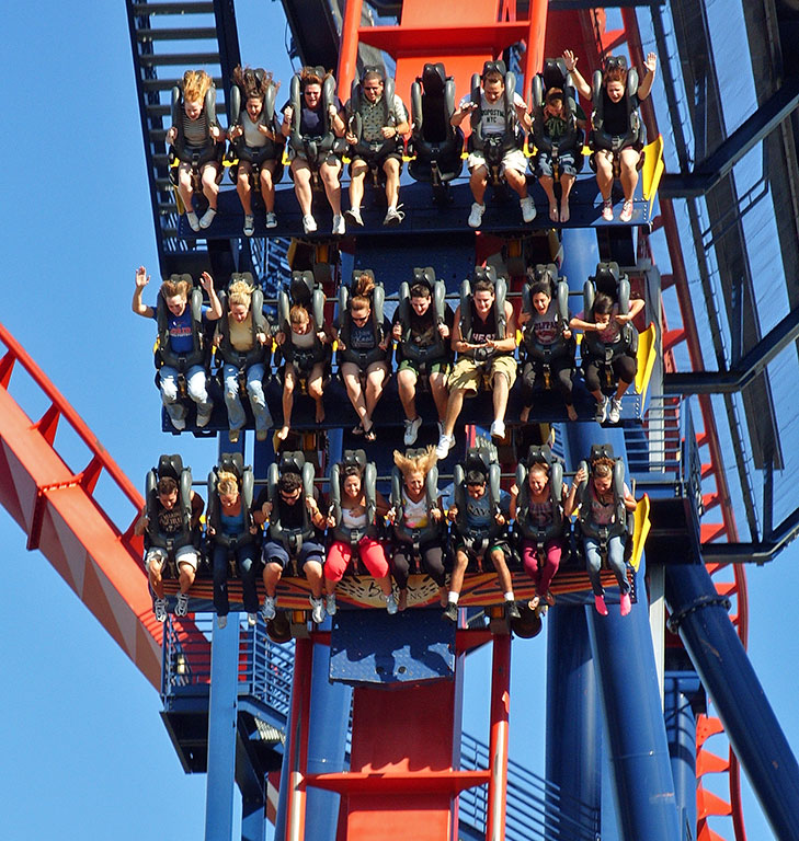 SheiKra photo from Busch Gardens Tampa