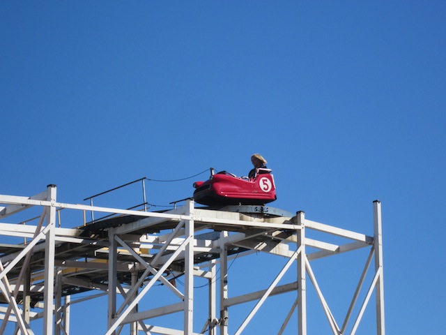 Wild Mouse photo from Luna Park