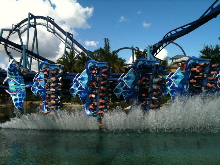 Manta photo from SeaWorld Orlando