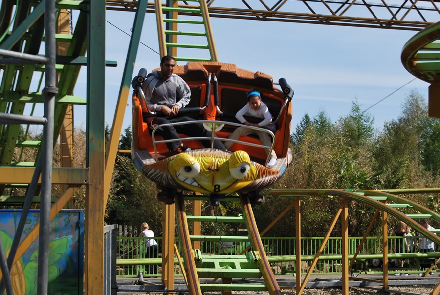 Treetop Twister photo from Lightwater Valley