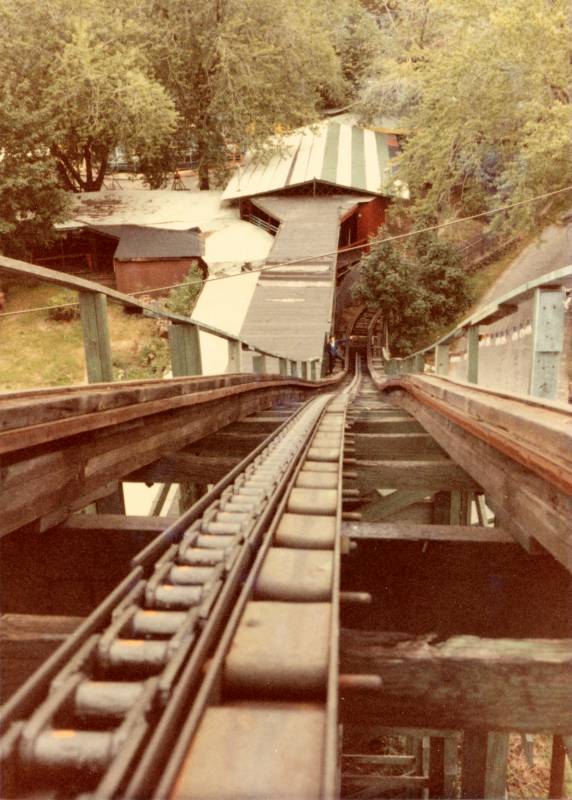 Wildcat photo from Bertrand Island Amusement Park