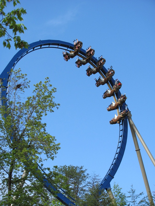 Wild Eagle photo from Dollywood