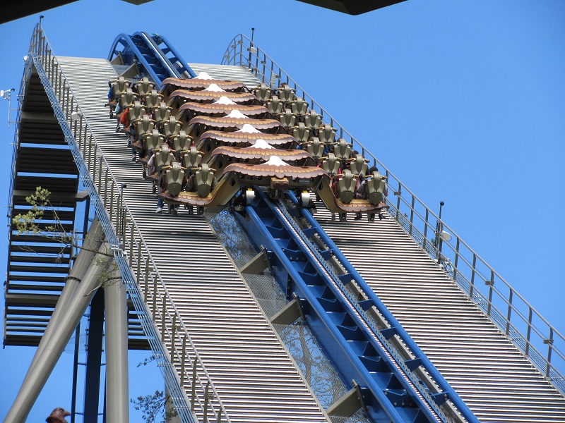 Wild Eagle photo from Dollywood