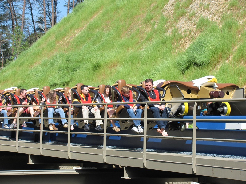 Wild Eagle photo from Dollywood
