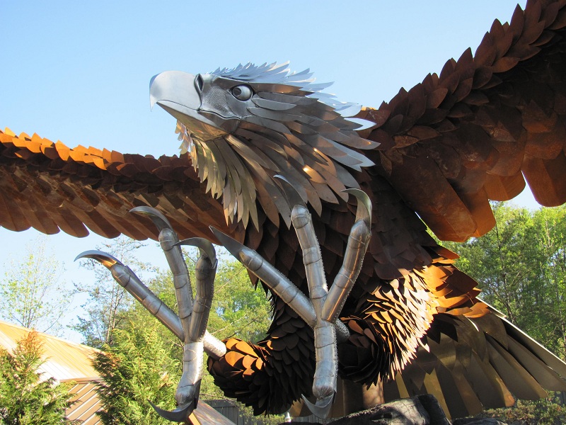 Wild Eagle photo from Dollywood