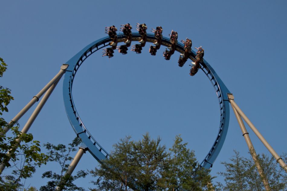 Wild Eagle photo from Dollywood