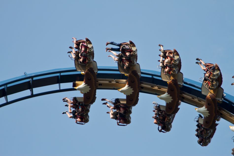 Wild Eagle photo from Dollywood