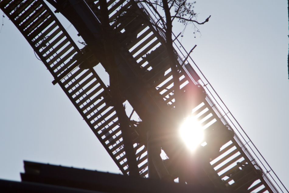 Wild Eagle photo from Dollywood