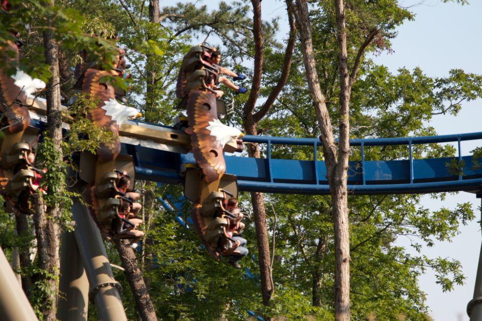 Wild Eagle photo from Dollywood