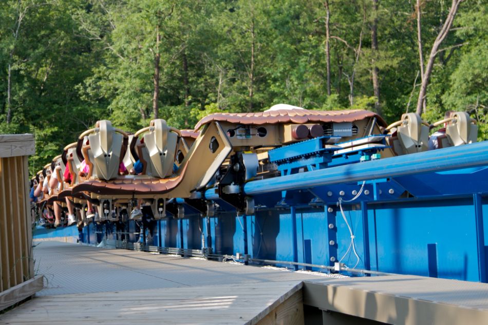 Wild Eagle photo from Dollywood