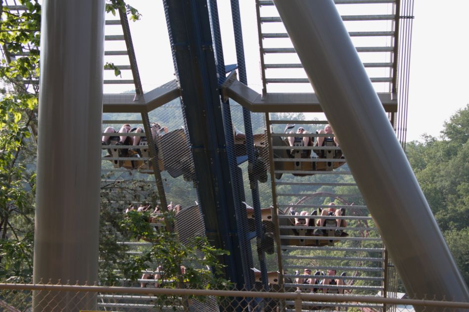 Wild Eagle photo from Dollywood