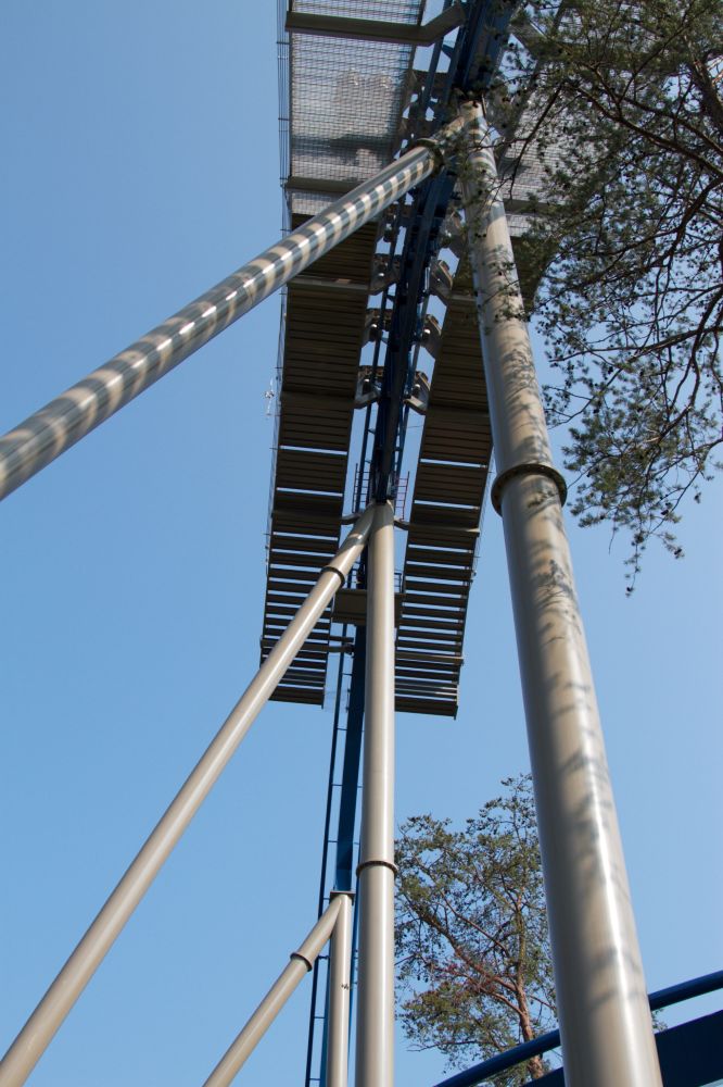 Wild Eagle photo from Dollywood