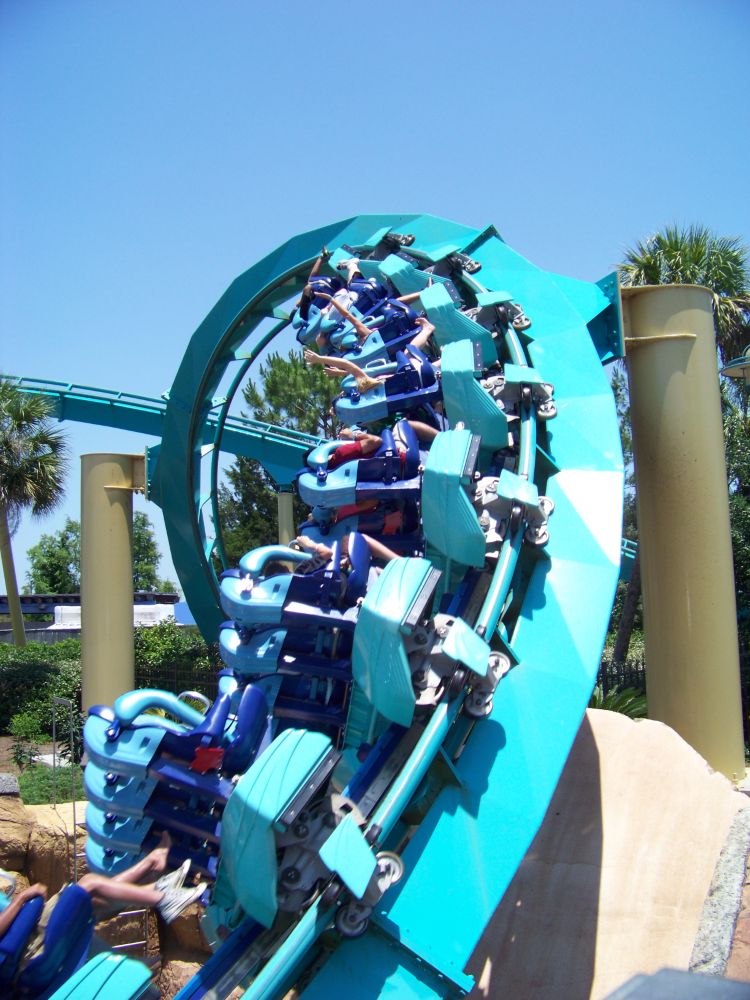 Kraken photo from SeaWorld Orlando