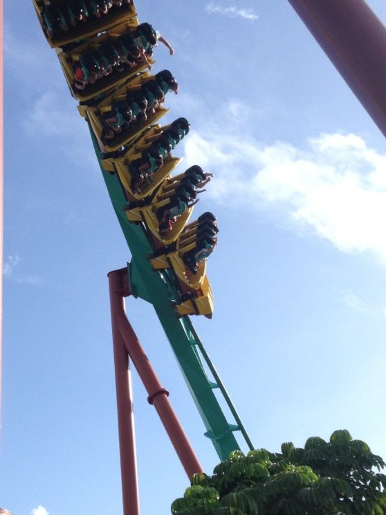 Kumba photo from Busch Gardens Tampa