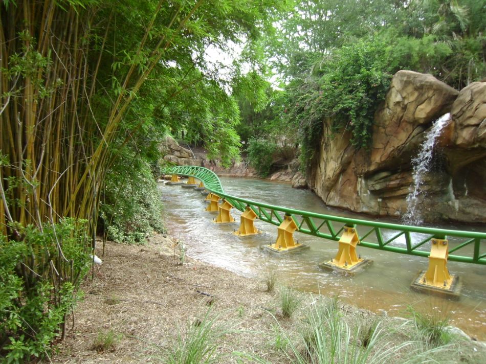 Cheetah Hunt photo from Busch Gardens Tampa