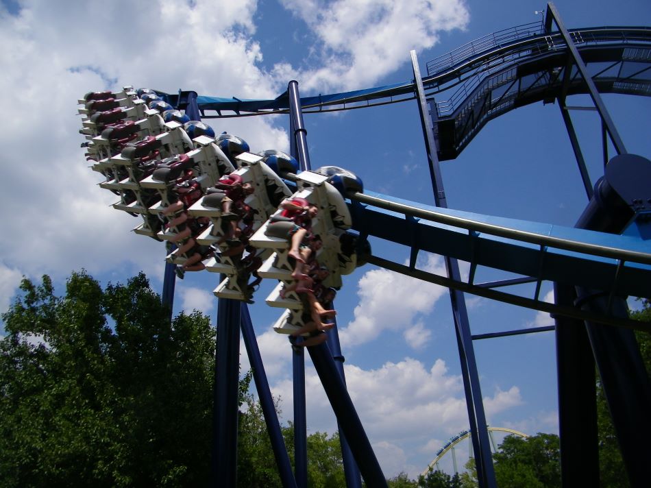 Great White photo from SeaWorld San Antonio